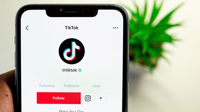 Followers Tiktok